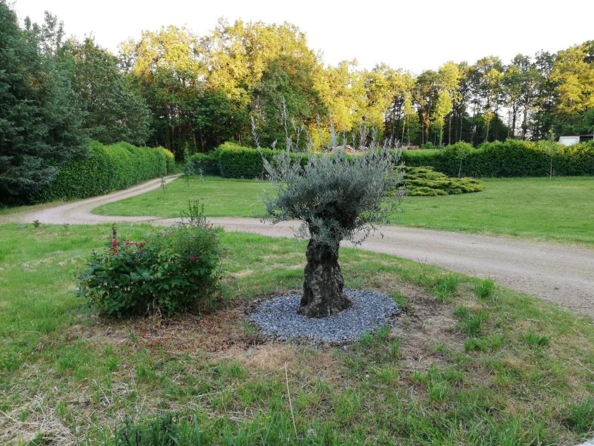 Le Gite Du Parc La Coquille Bagian luar foto